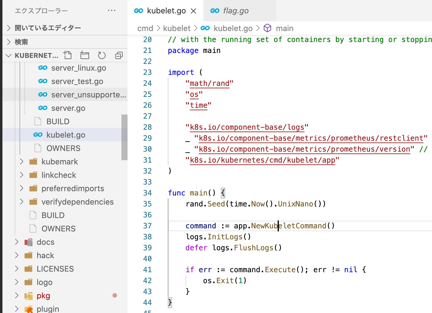 Kubernetesのソースコードを読むためのvs Codeの設定 Nishipy Notes